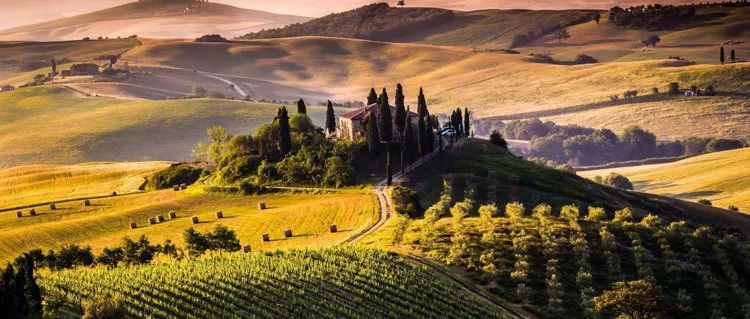 意大利：可持续发展、产品不滞销、休闲农业好，让农业与风景皆美