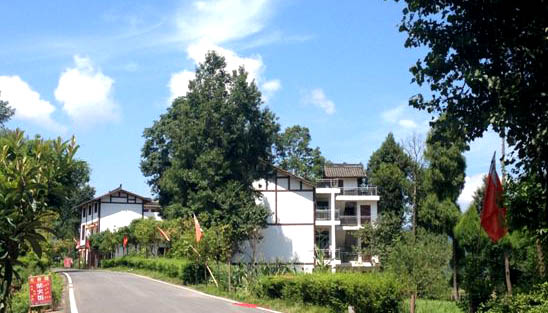 收藏备用！这些宅基地知识，早晚会用到