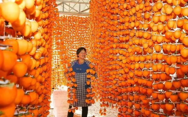7月20日前，全国“一村一品”示范村镇认定中！