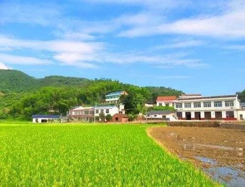 2019下半年农业12项补贴汇总，全都告诉你
